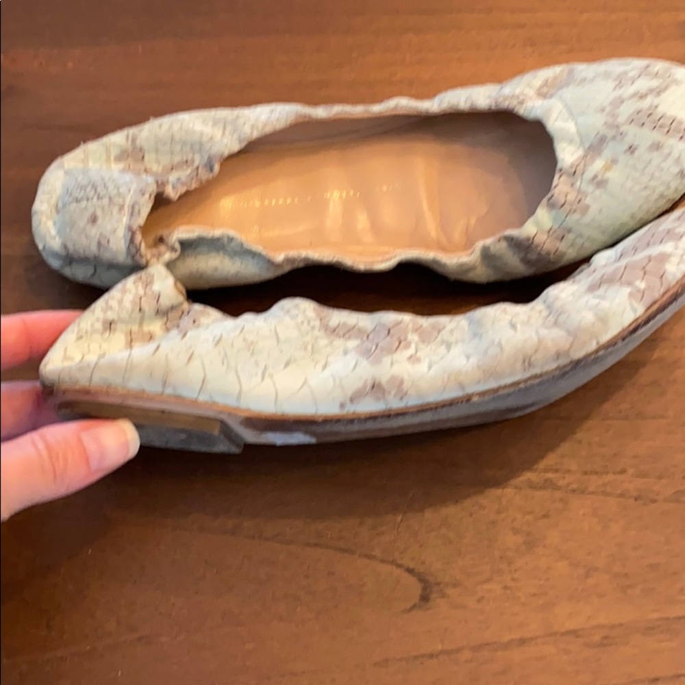 Giuseppe Zanotti Leather Animal Print Ballet flats 🥿 - Picture 2 of 6